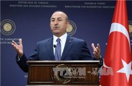 Căng thẳng ngoại giao vùng Vịnh: Thổ Nhĩ Kỳ và Iran kêu gọi các bên đối thoại 